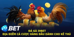 I9bet - điểm đến của anh em đam mê đá gà