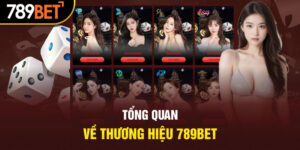 Tổng quan đánh giá 789Bet